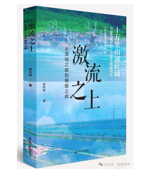 新书推荐|徐向林：《激流之上》